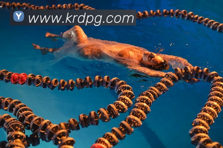 pg电子平台生态图